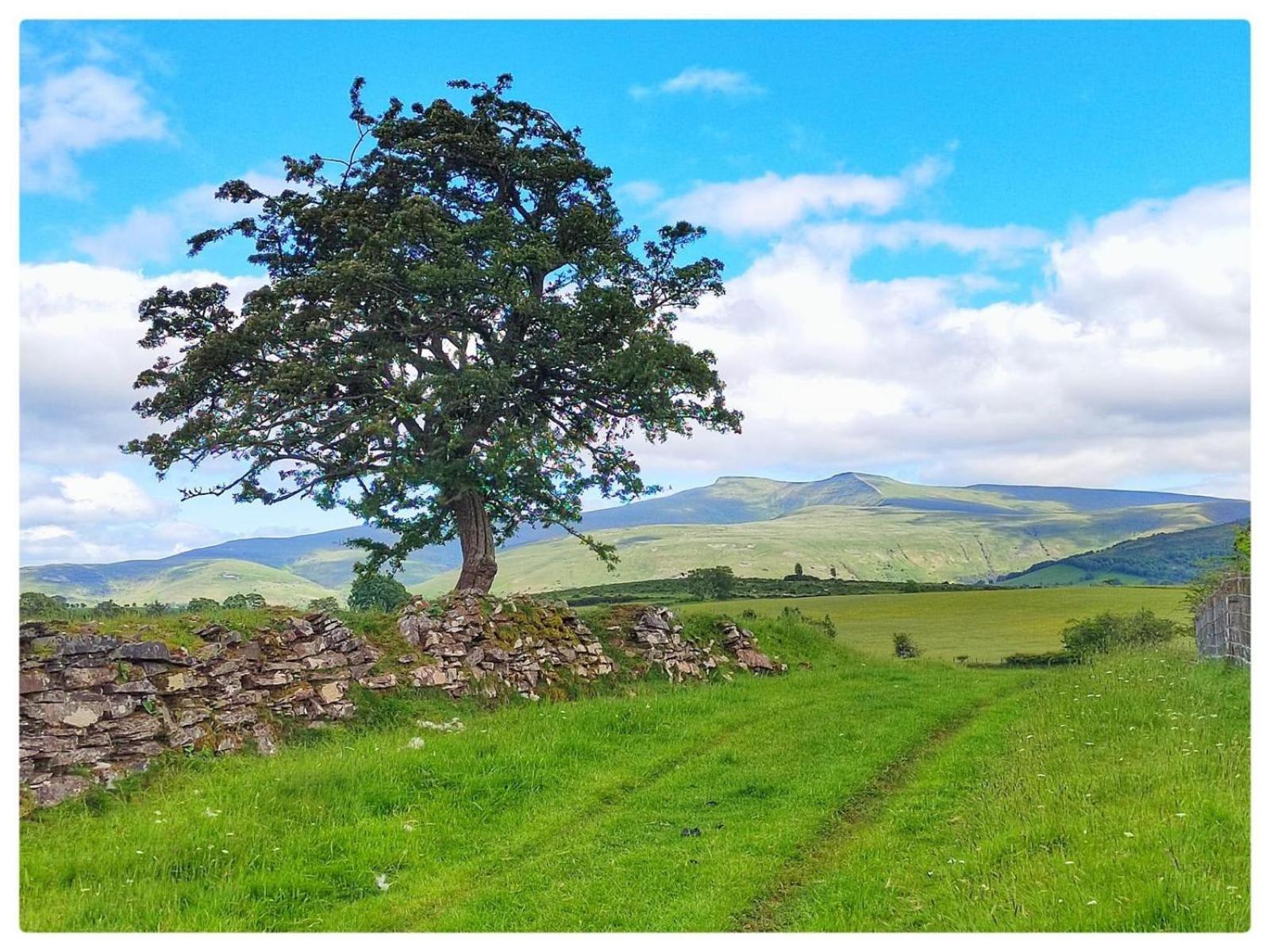 Little Cottage Of The Beacons Brecon Exteriör bild